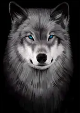 Imagem representando Execução